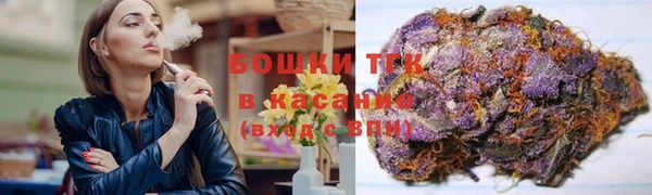 твердый Новозыбков