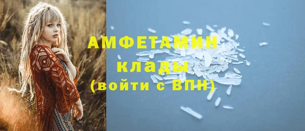 твердый Новозыбков