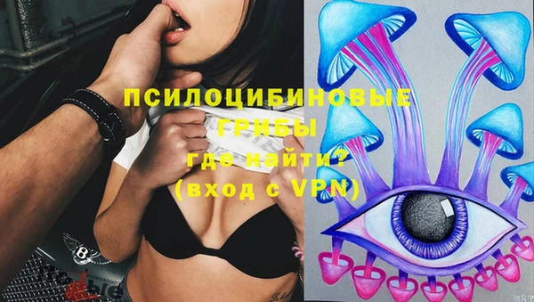 марки lsd Новодвинск