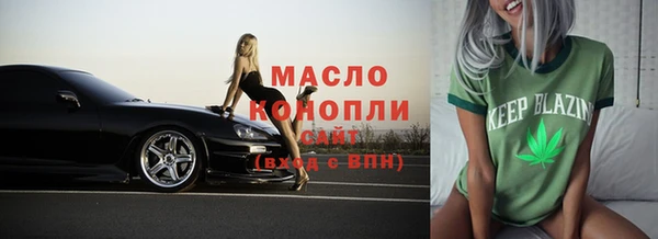 твердый Новозыбков