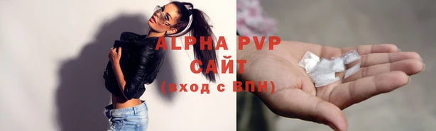 таблы Новокубанск