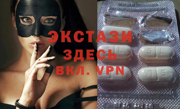 твердый Новозыбков