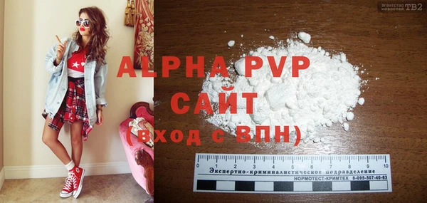 твердый Новозыбков
