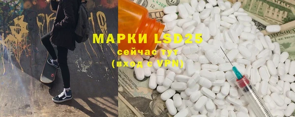 твердый Новозыбков